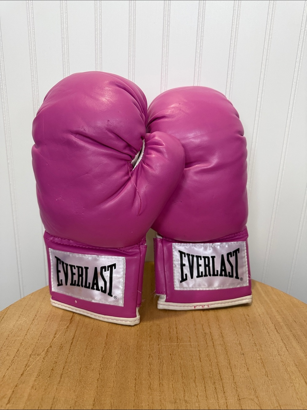 Everlast Magenta Training Boxing Gloves